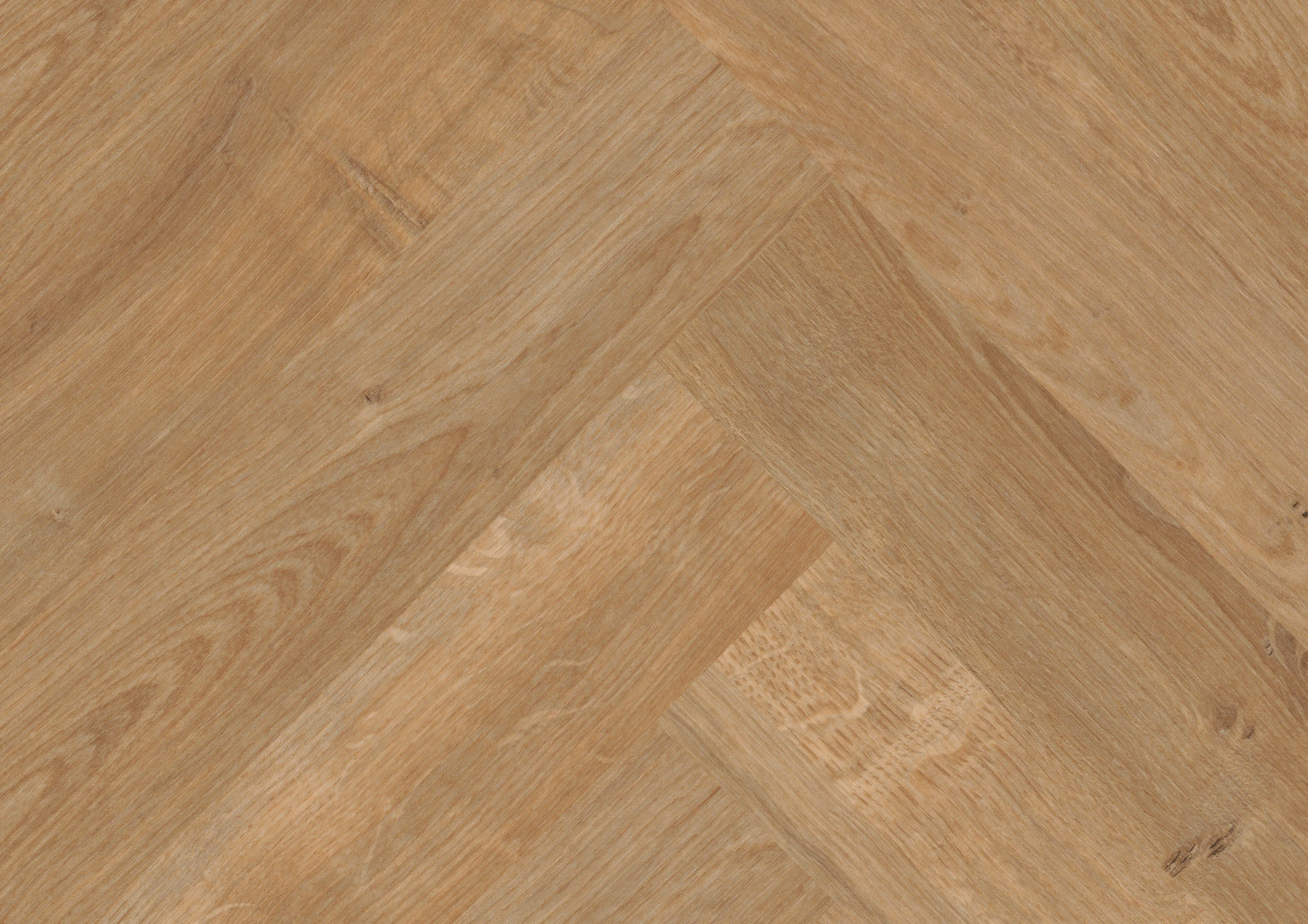 Canyon Oak Honey
