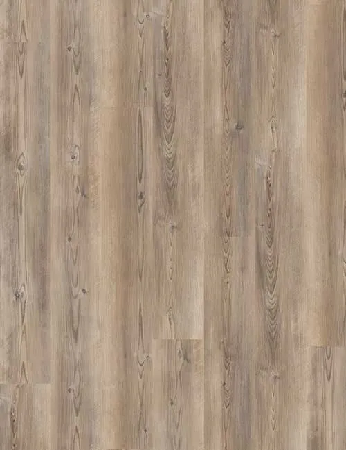 Vinylboden wineo 400 Coast Pine Taupe DB284WL in moderner Pinien-Holzoptik