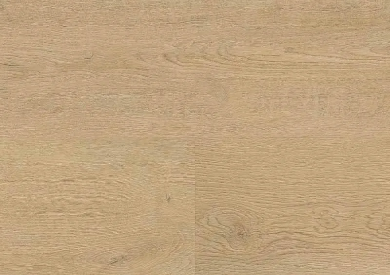 Designboden wineo 400 Plain Oak Beige zum Kleben in Holzoptik