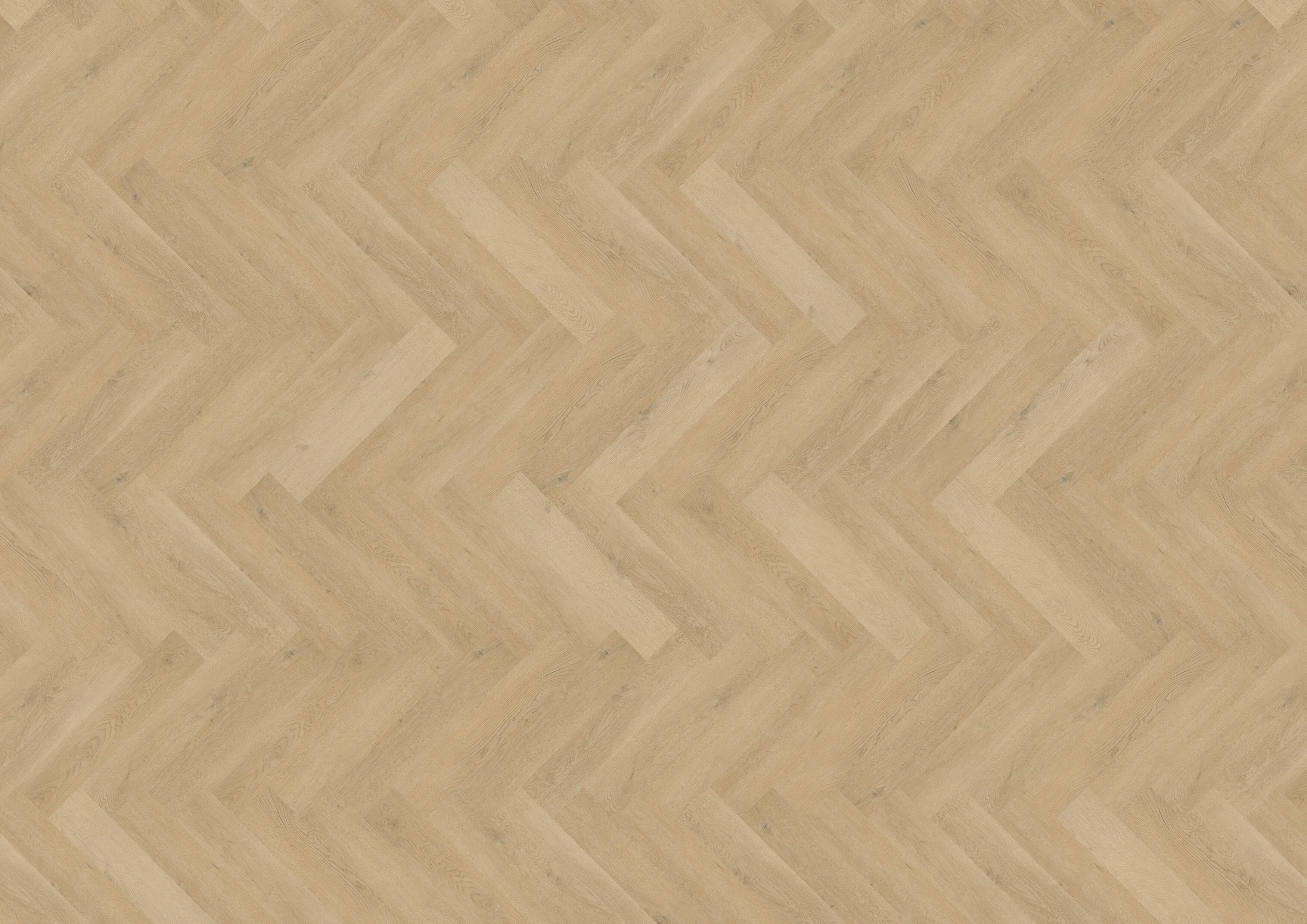 Plain Oak Beige