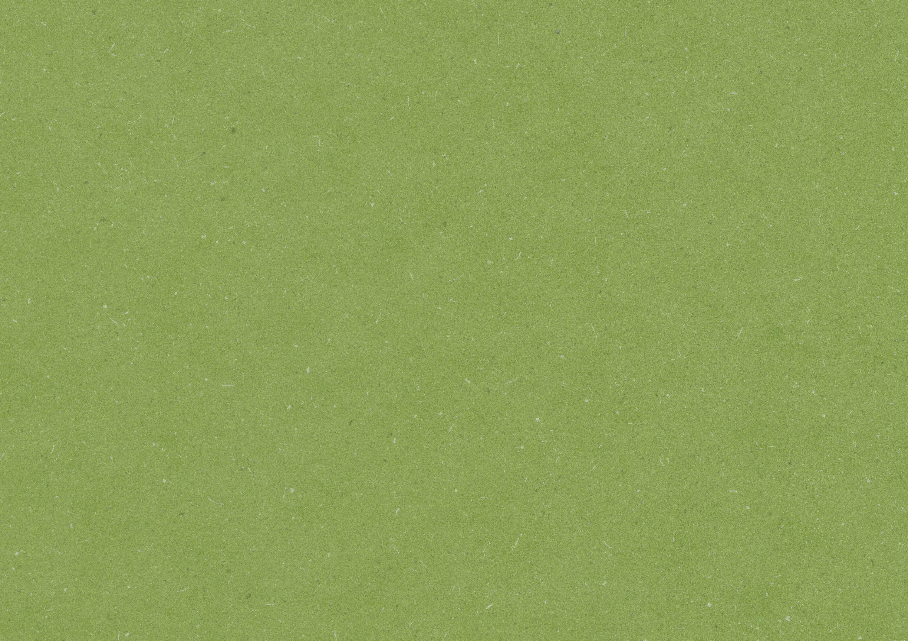 Aloe Green | wineo 1500 Chip